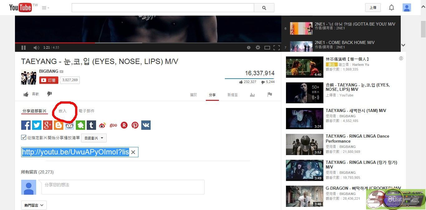dvubb 图片点击可在新窗口打开查看